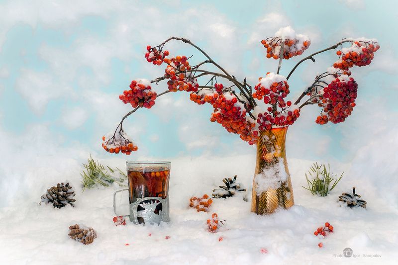 Зимний чай фото превью