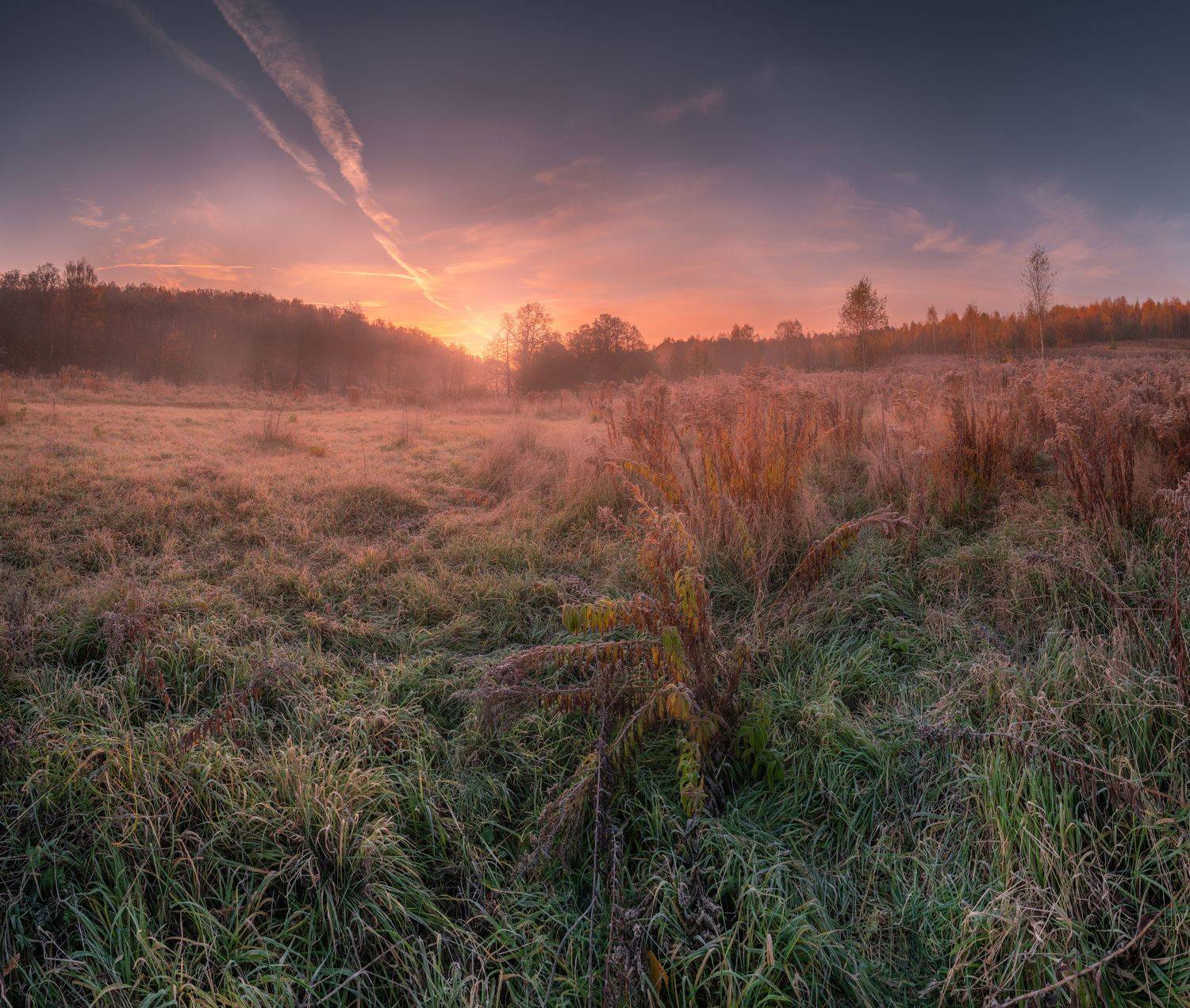 пейзаж, природа, nature, landscape, Семён Кузнецов