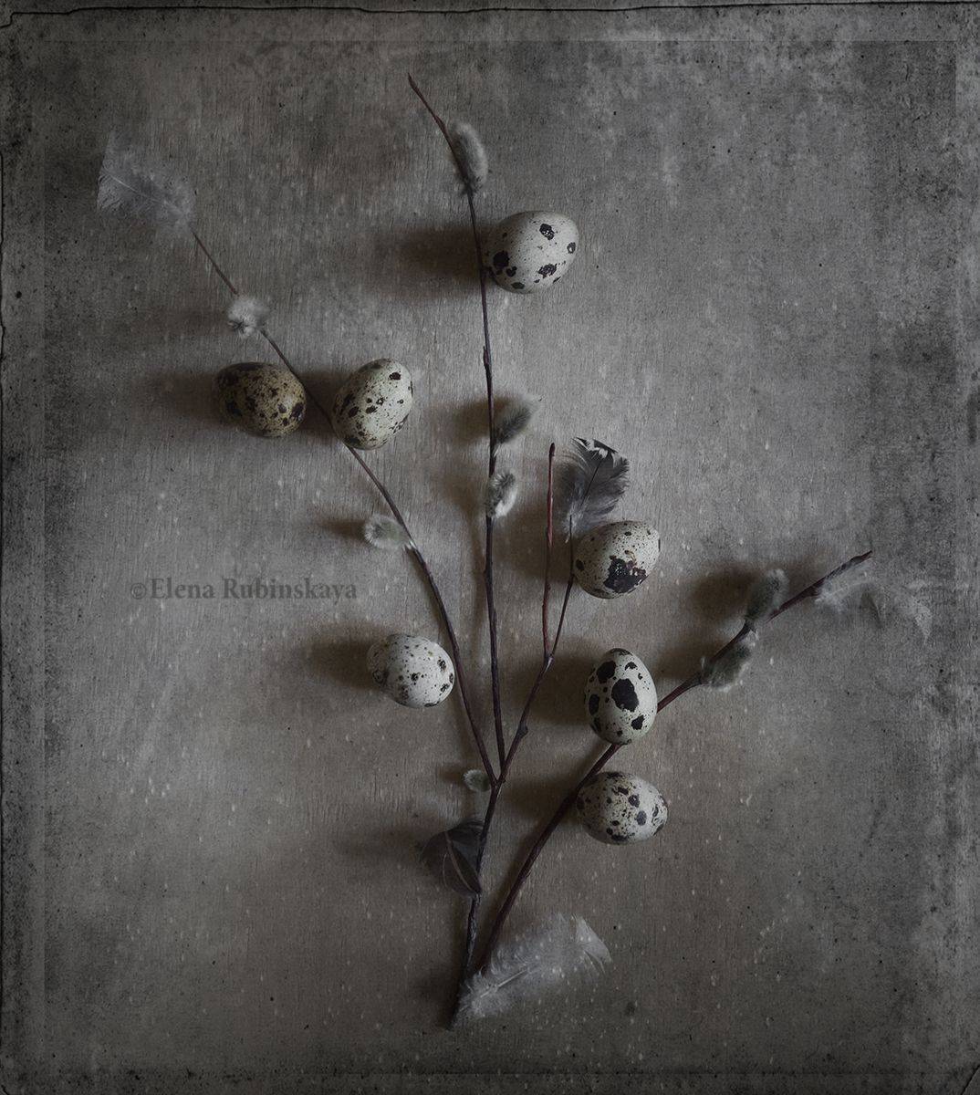 , Елена Рубинская