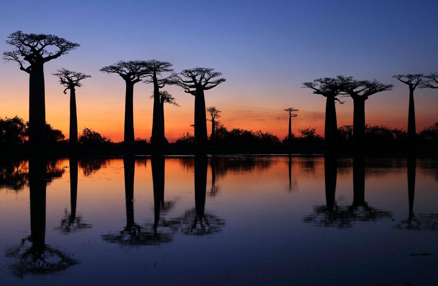 , Андрей Гудков