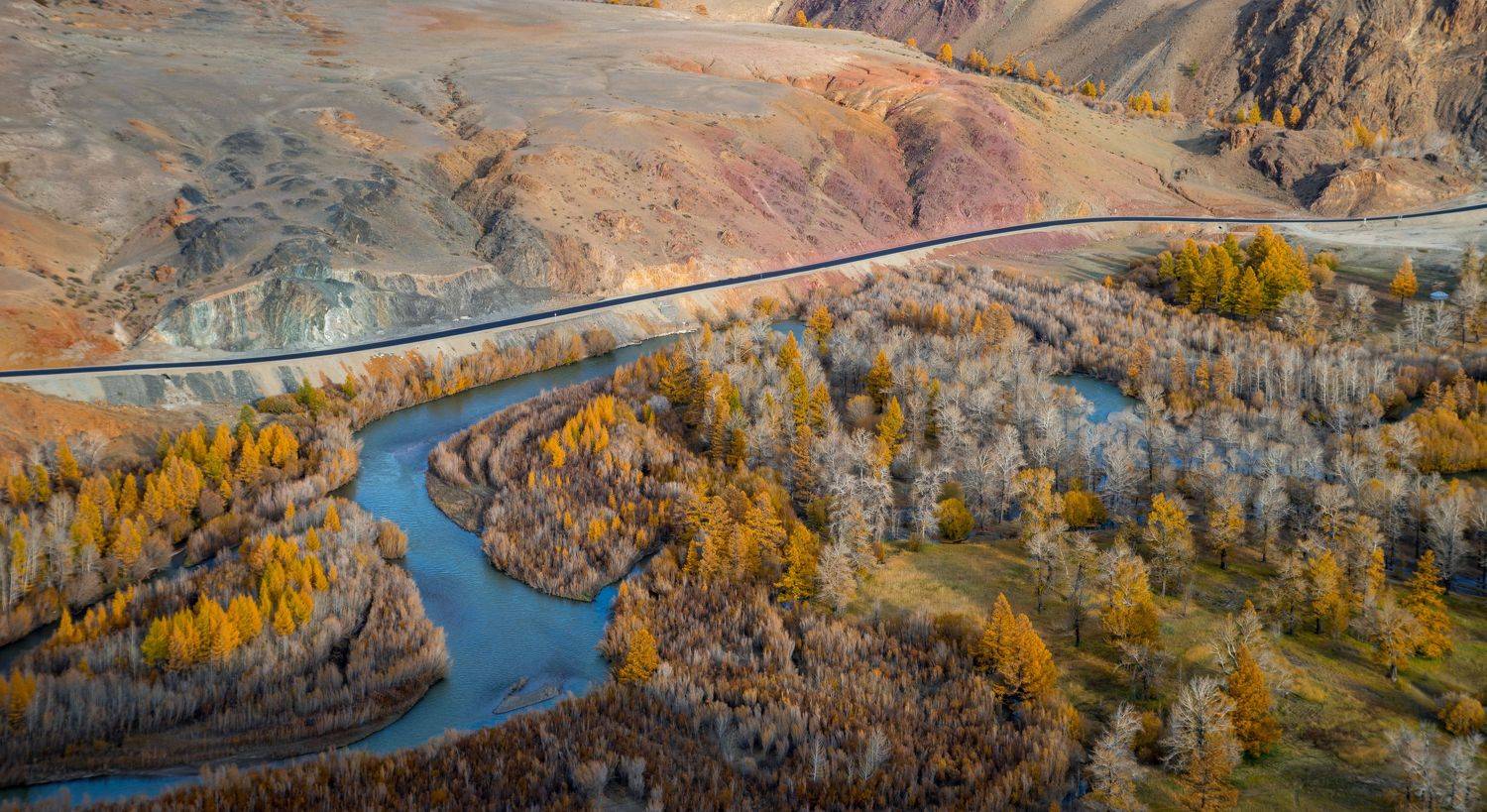 , Андрей Хаймин