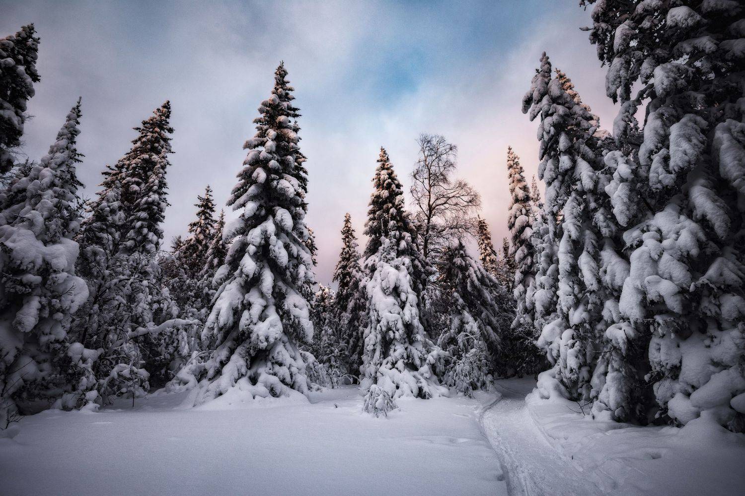 таганай, зимний пейзаж, зимний лес, закат, Елена Соколова