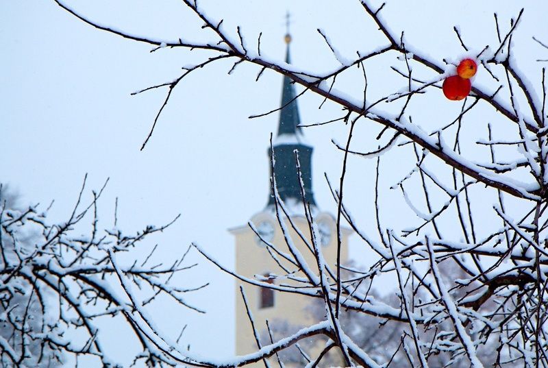 Apples фото превью