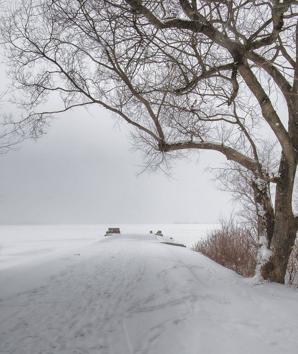 сестрорецк,разлив,зима, alexOmRam