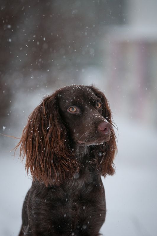 Айти фото превью