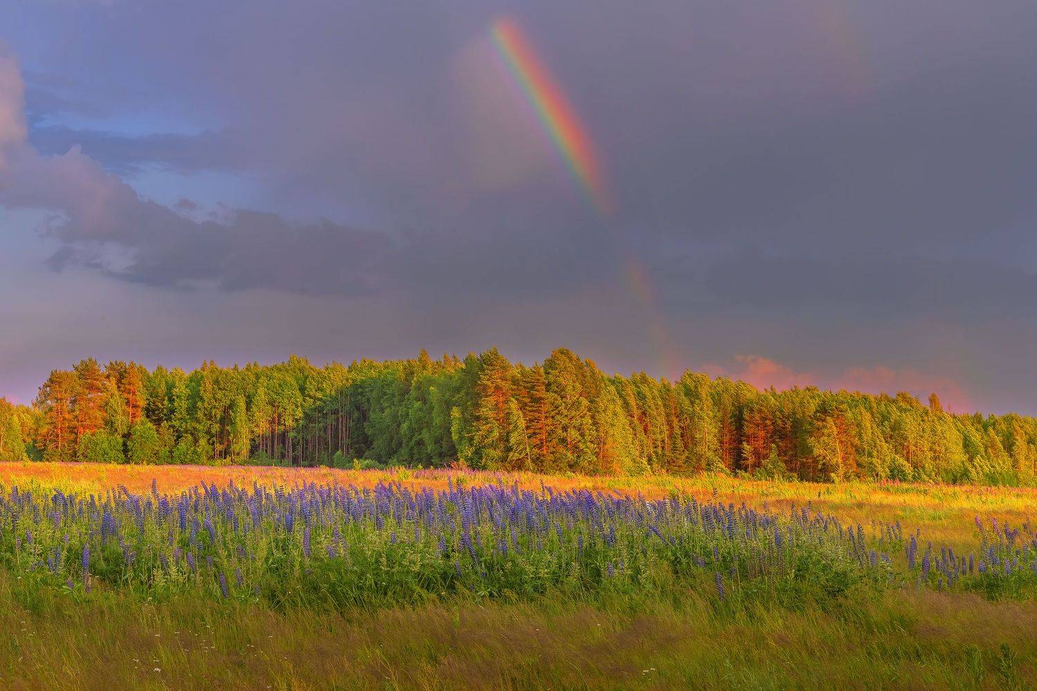 Фототуры с Владимиром Рябковым, #topnature #russpasibo #magic_shots #lovelyRussia #sunset_vision #exclusive_sky  #exclusive_shots #loves_russia2 #photoarena_nature #nature_sultans #nature_perfection #rsa_sky #rsa_sunset #photorussia #rsa_naturepics #sunse, Владимир Рябков