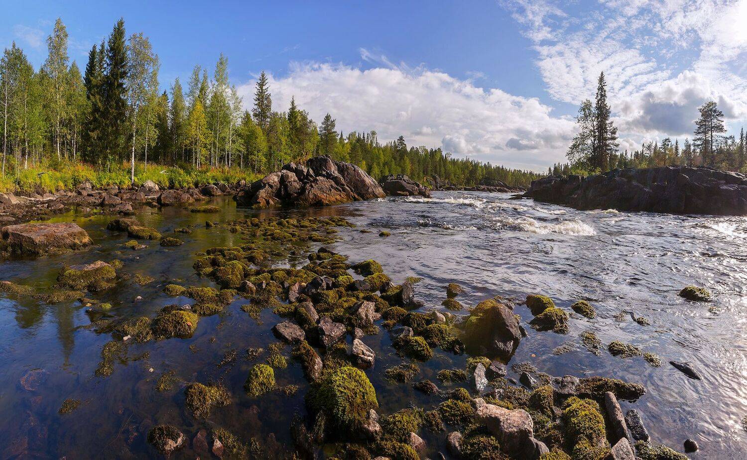 карелия., Ярослав Лукьянов