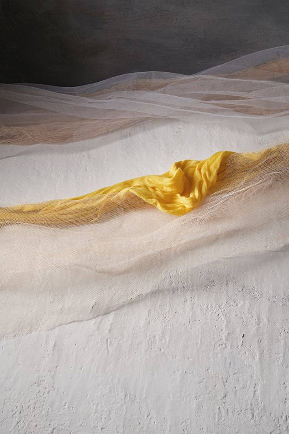 , Алексей Дивнич