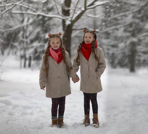 В сказочном лесу