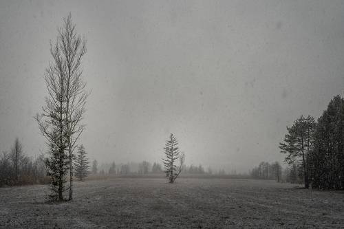 Первый снег