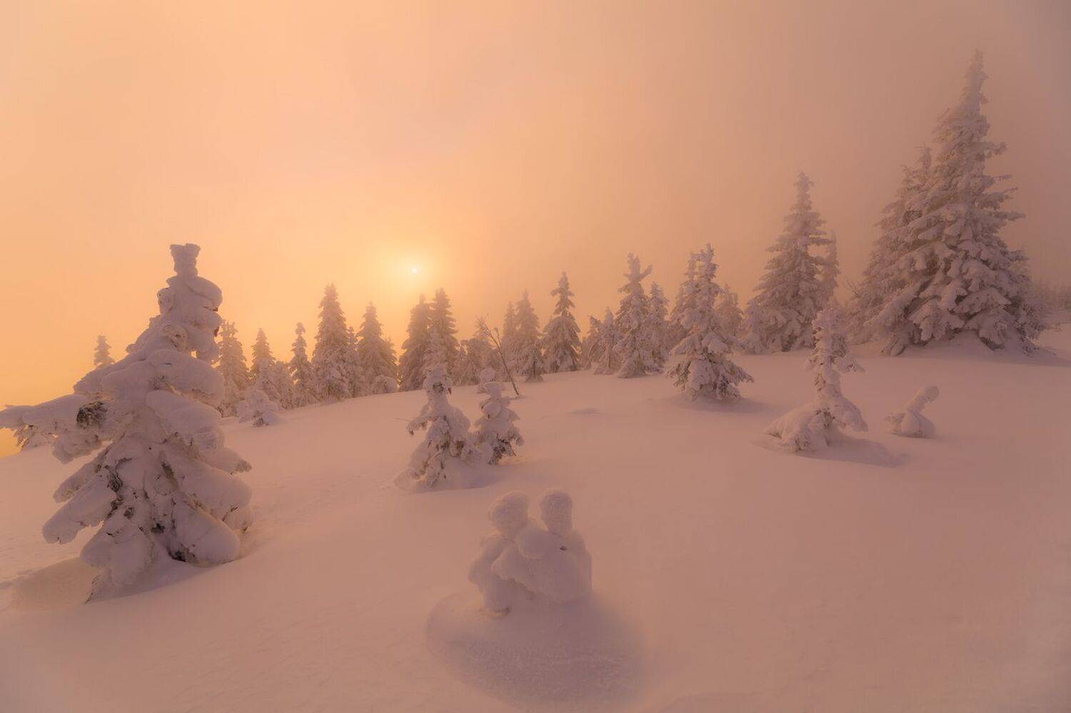 landscape,winter,mountains,canon, Iza i Darek Mitręga