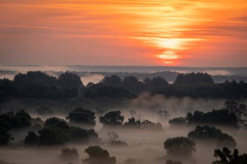 Диск солца золотого