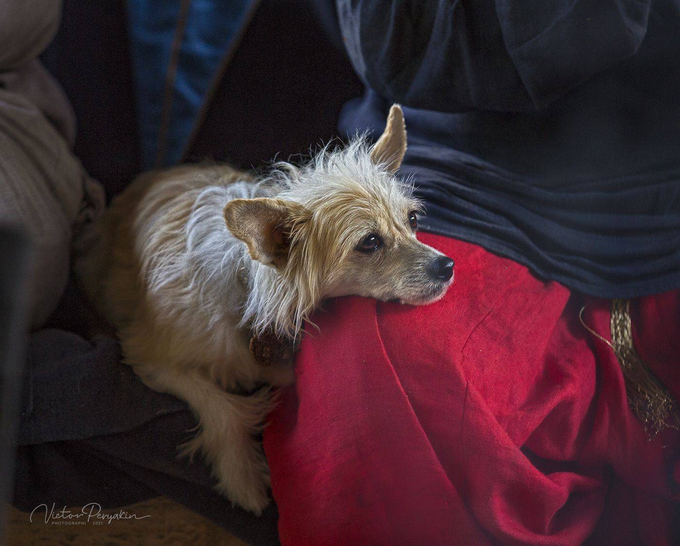 , Виктор Перякин