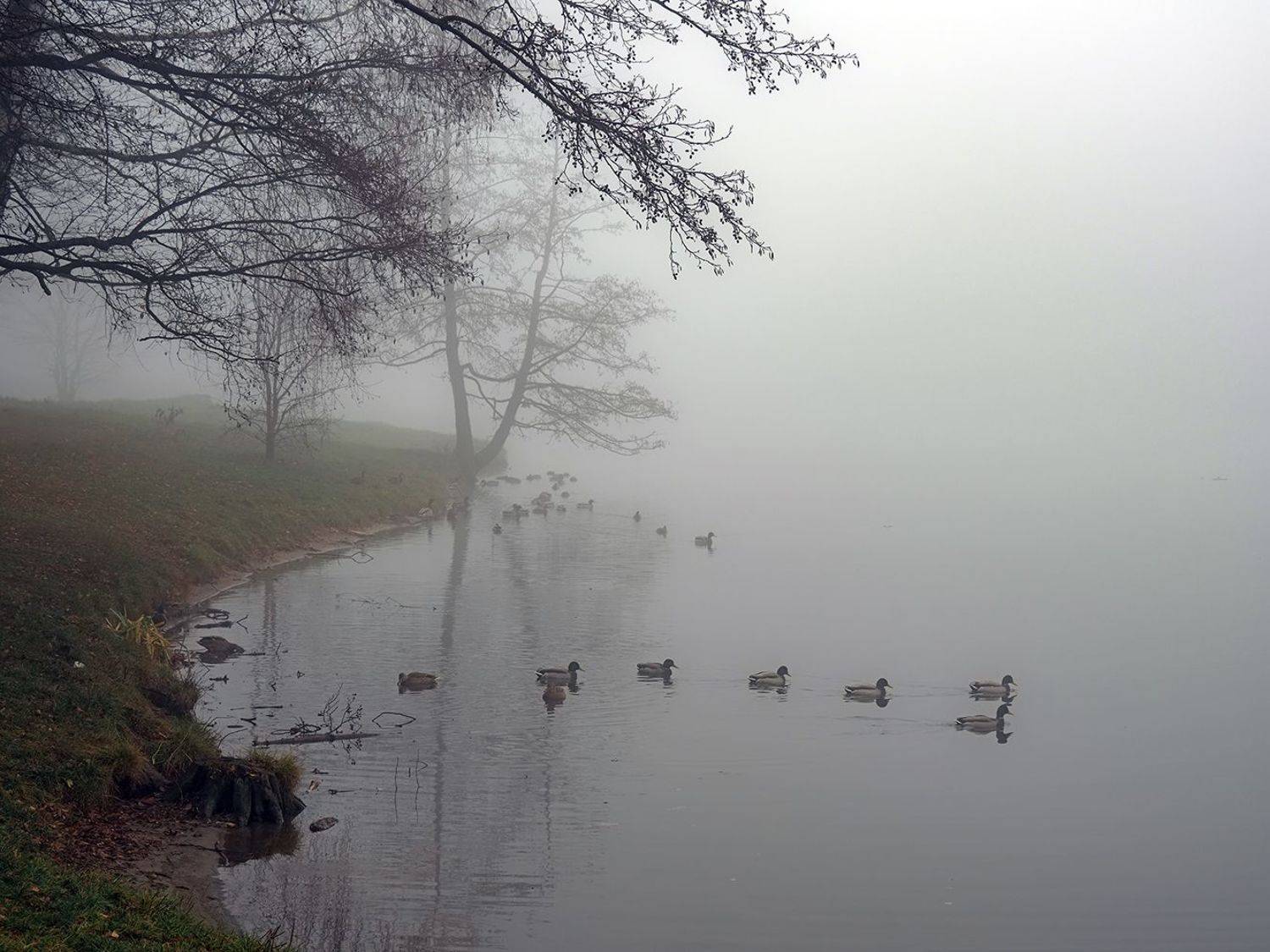 , Сергей Духанин
