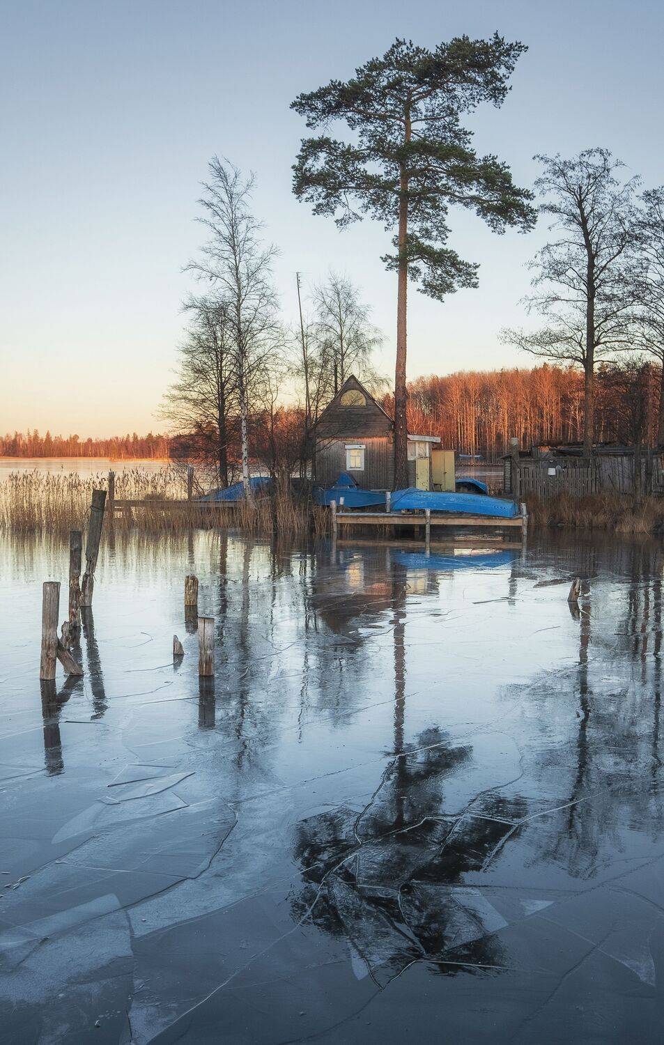 , Светлана Краюшкина