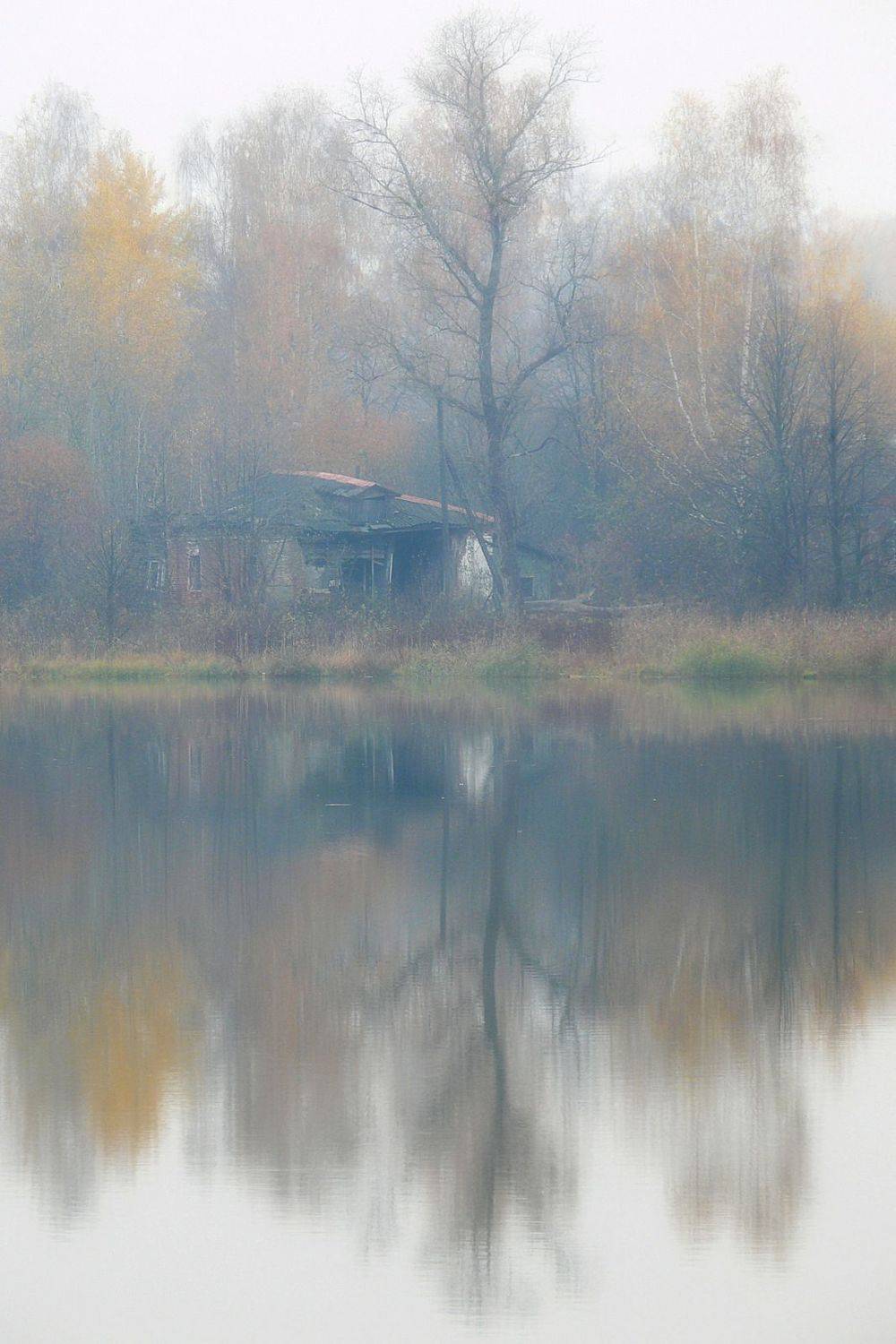 сергей алексеев, пейзаж, Сергей Алексеев