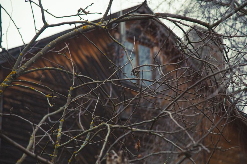 дом, осень, мистика В ноябрь фото превью