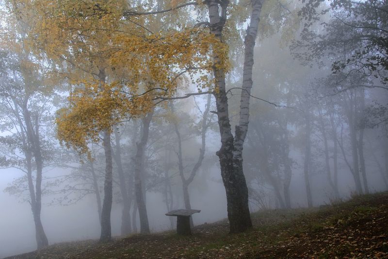 Осенняя ностальгия фото превью