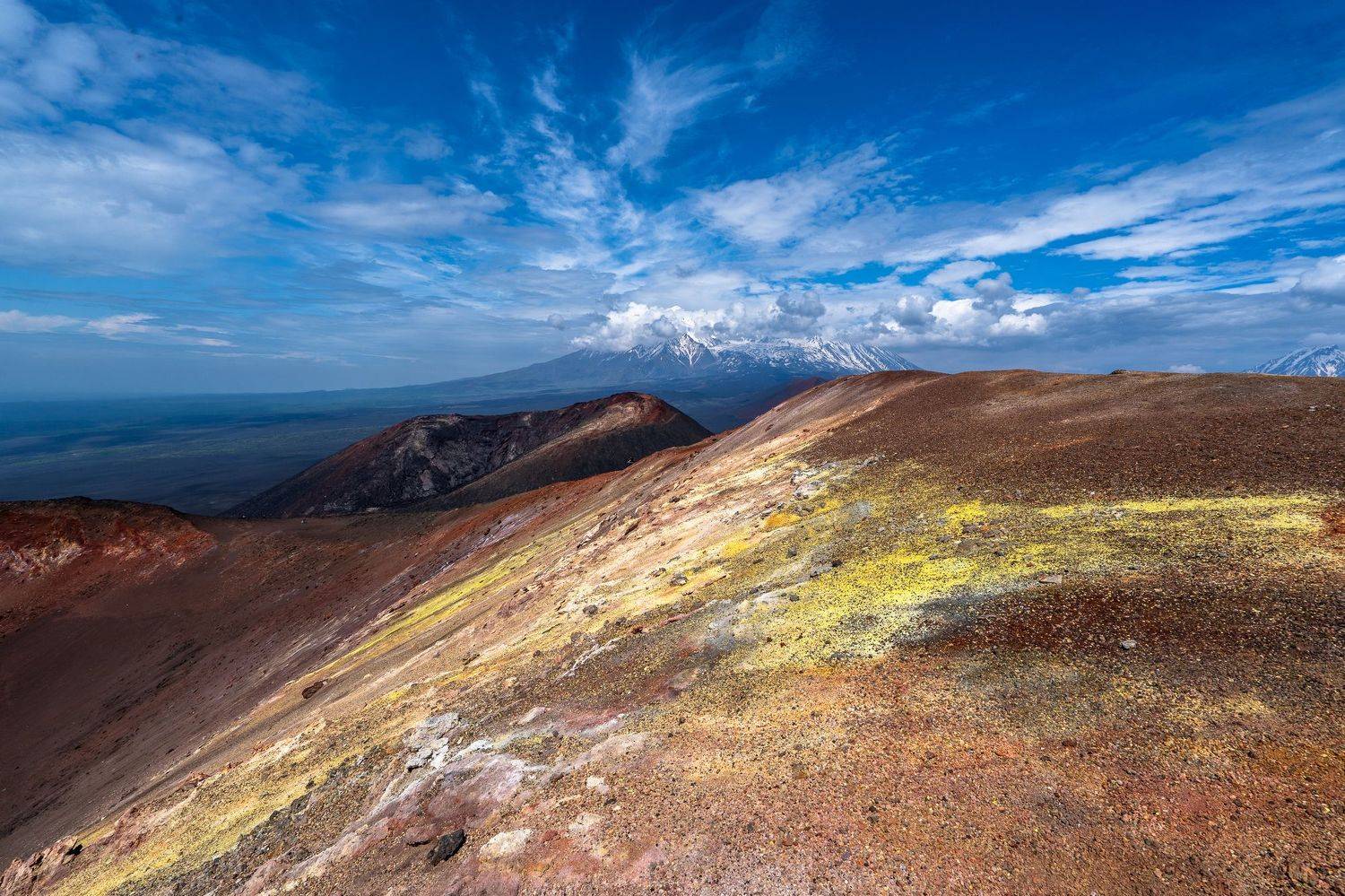 , Баландин Дмитрий