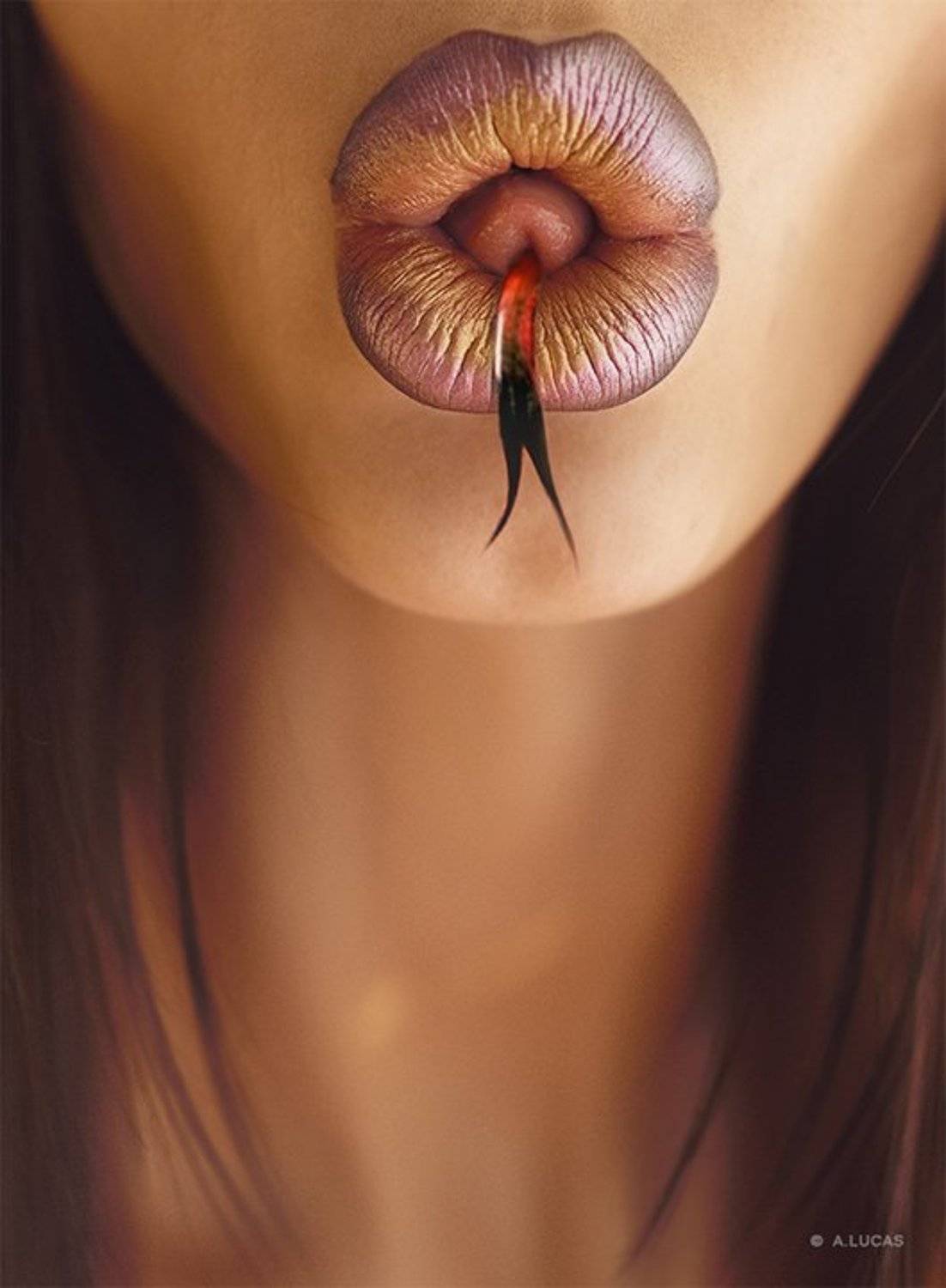 lucas, lucastudio, Andrew Lucas