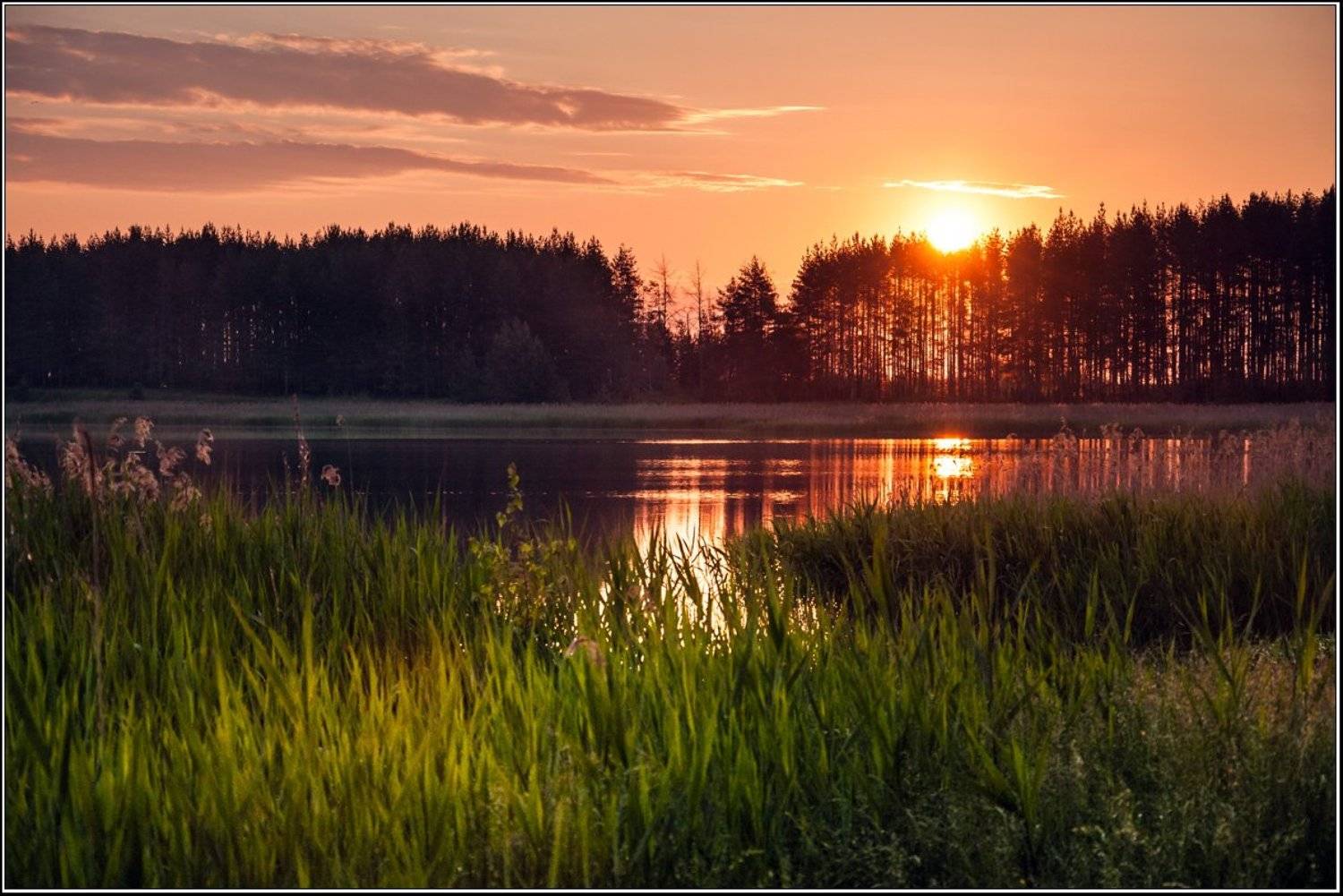 , Анатолий Зверев