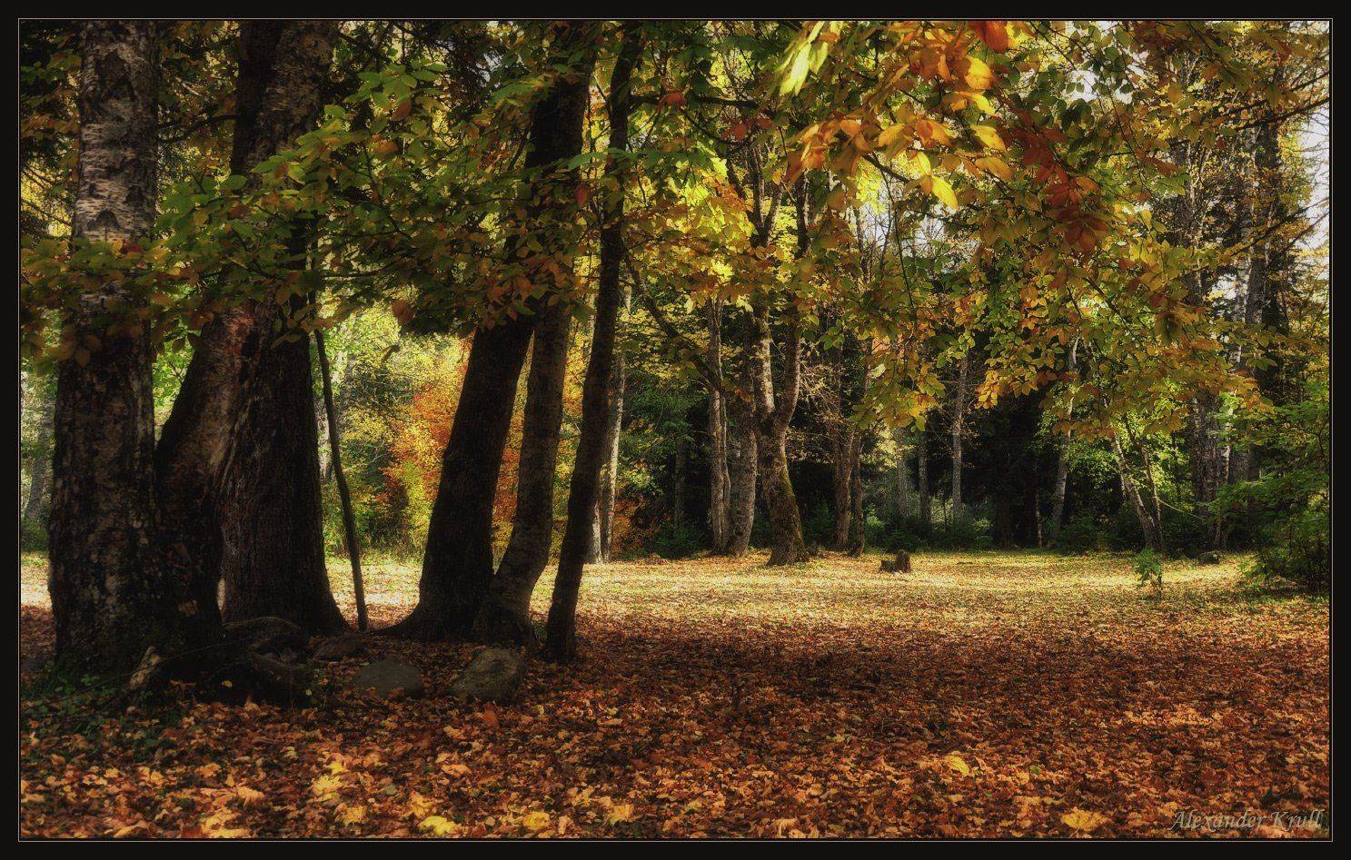кавказ, кчр, осень, Александр Круль