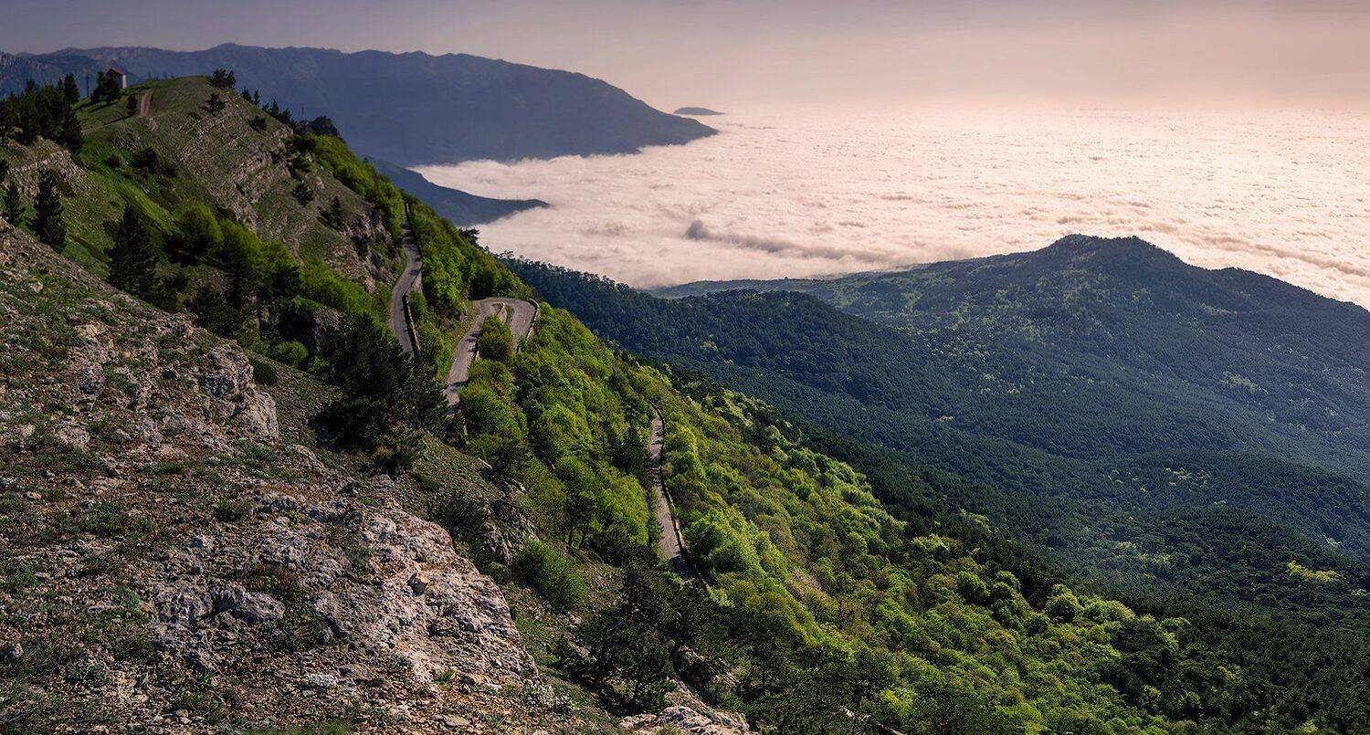 , Игорь Мелекесцев