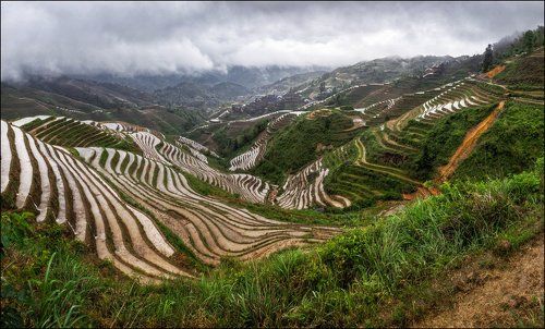 Rice Terraces Dragon Ridge