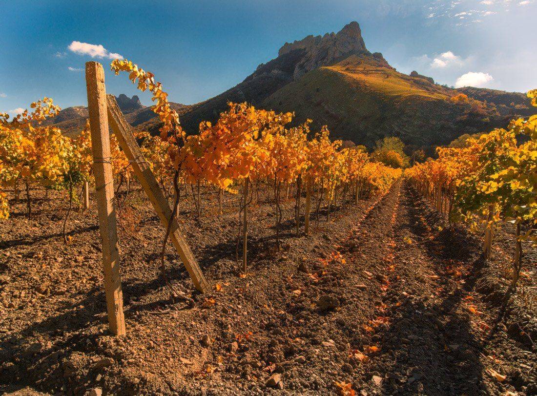 , Жмак Евгений