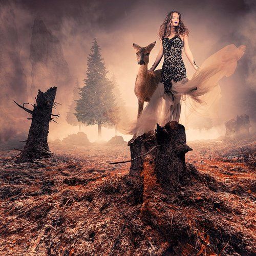 The fearless dear