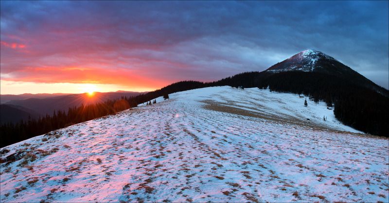 Горы, Карпаты, Рассвет, Утро Утро на поляне Хомяков фото превью