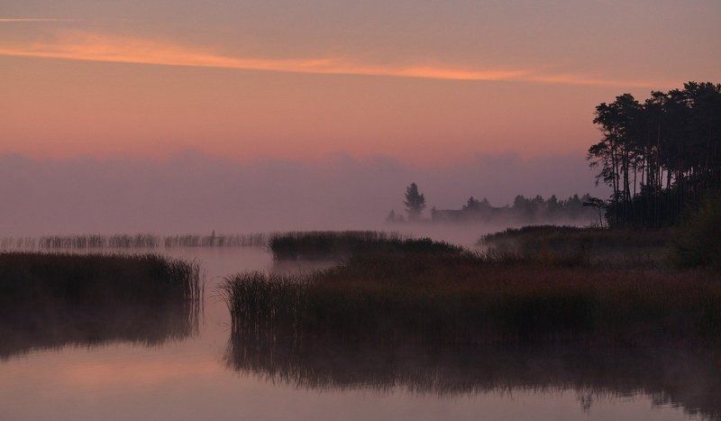 Багровое утро фото превью