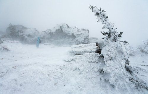 Белая мгла