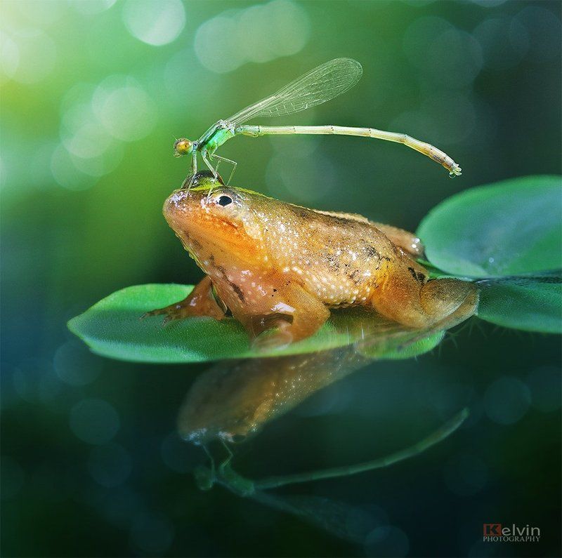 Ban Tôi фото превью
