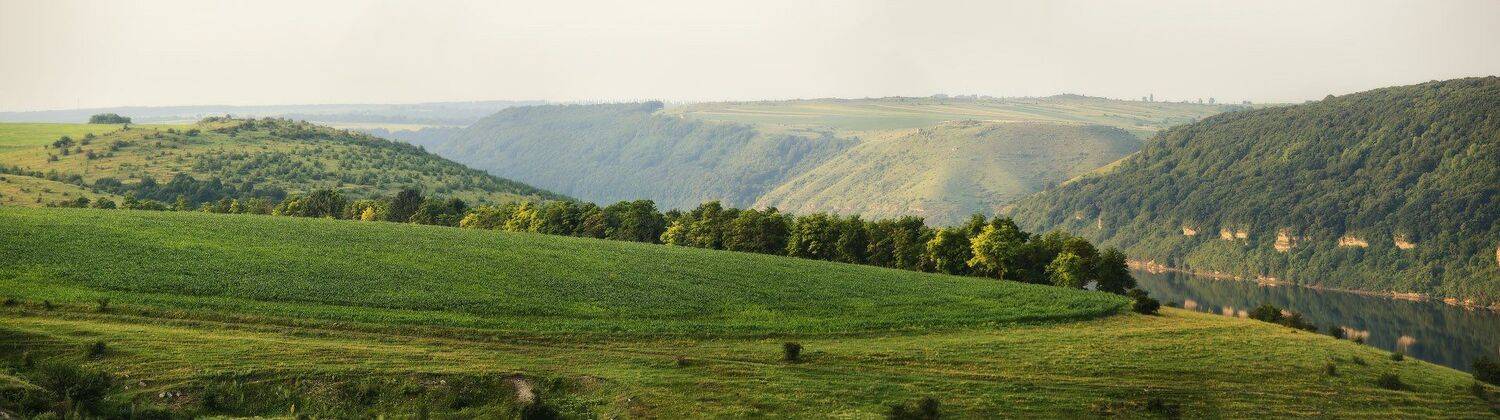 , Вейзе Максим