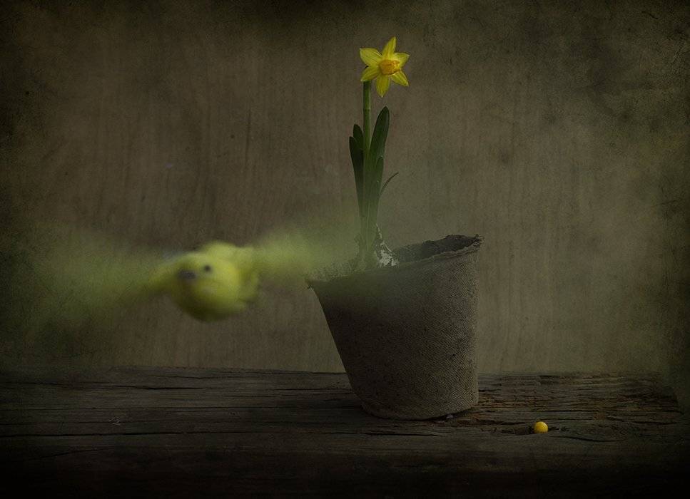 , Петрова Татьяна