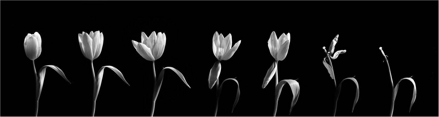 , Вика Иванова