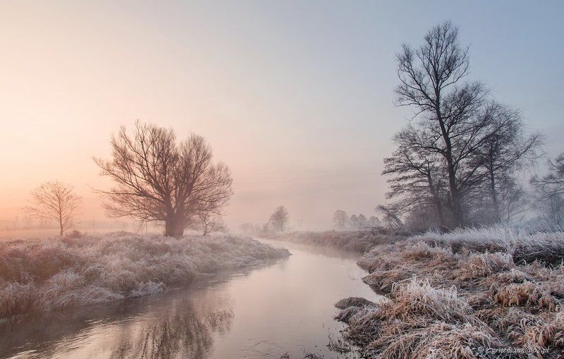 morning time ... фото превью
