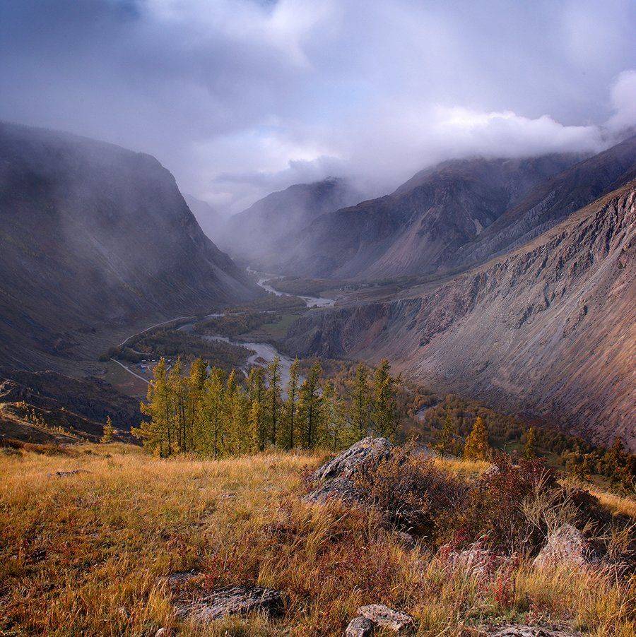 , Алексей Родак