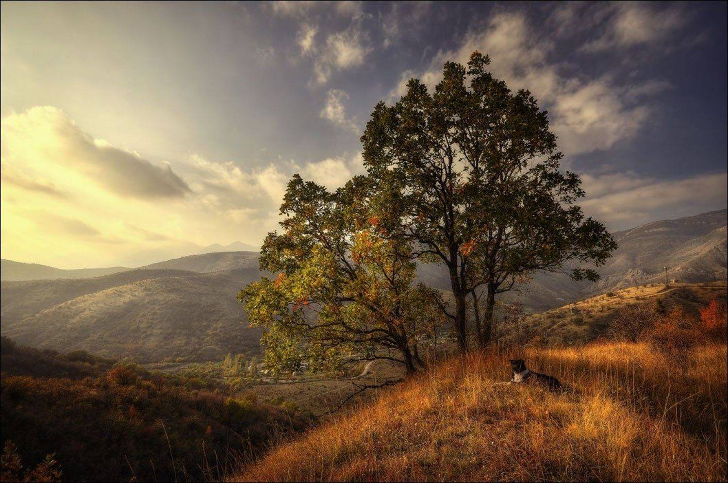 , Людмила Сиденко