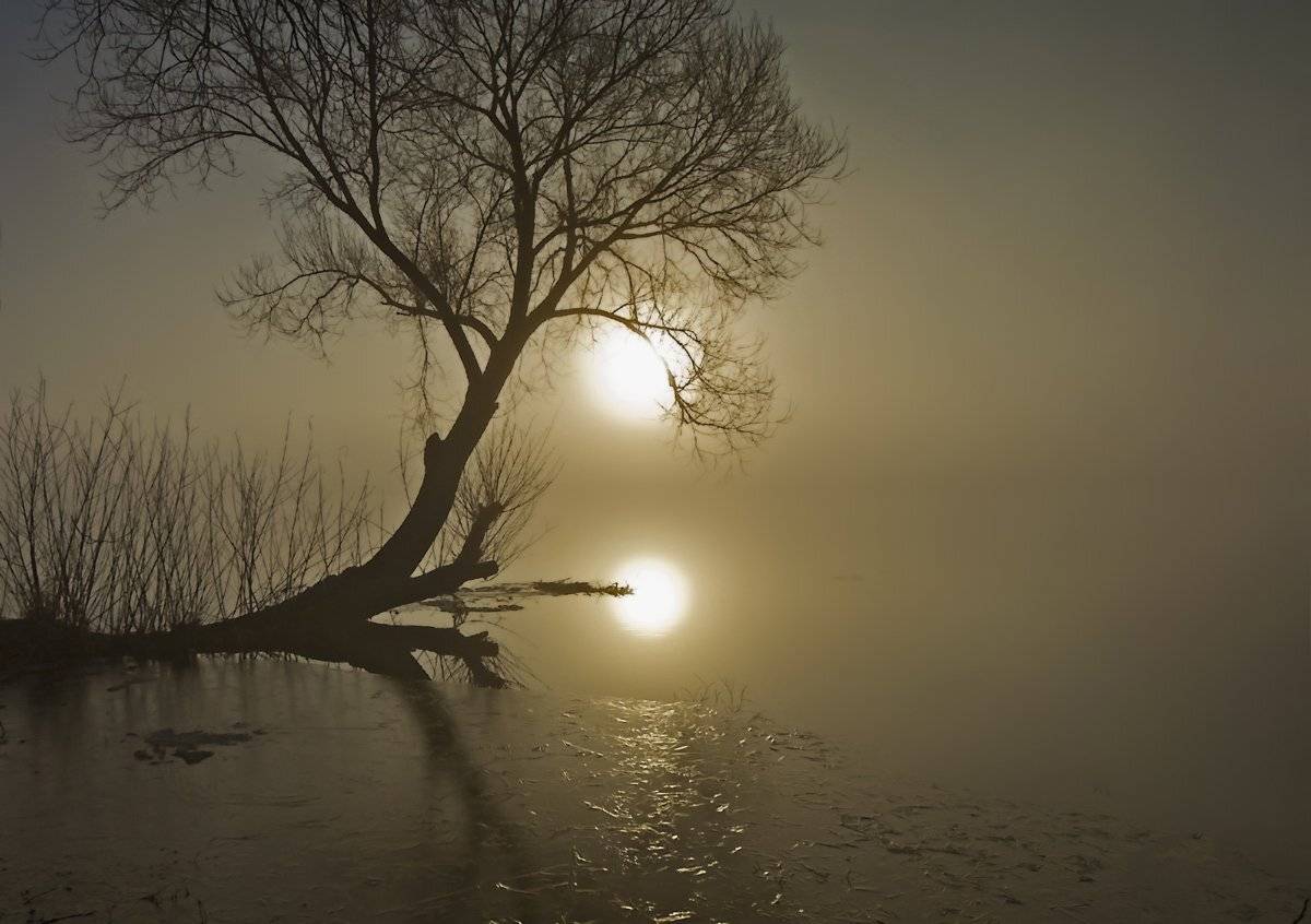 , Валерий Кондратов