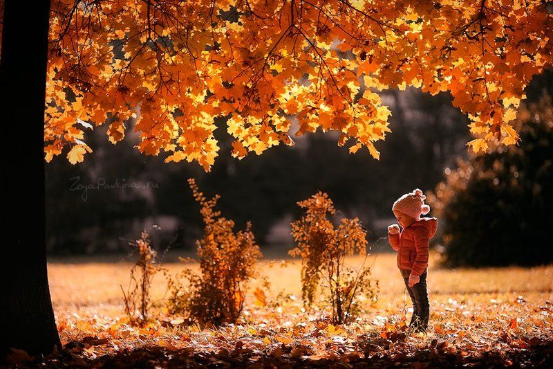 Осень фото превью