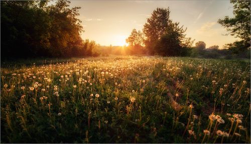 Утро новой жизни...