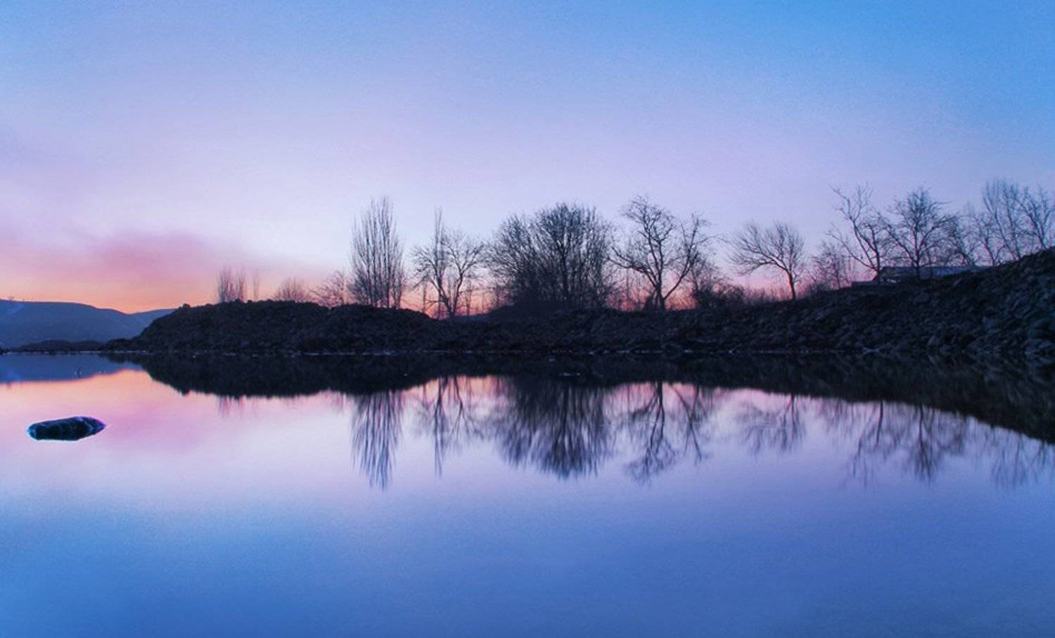 , тимур-тень