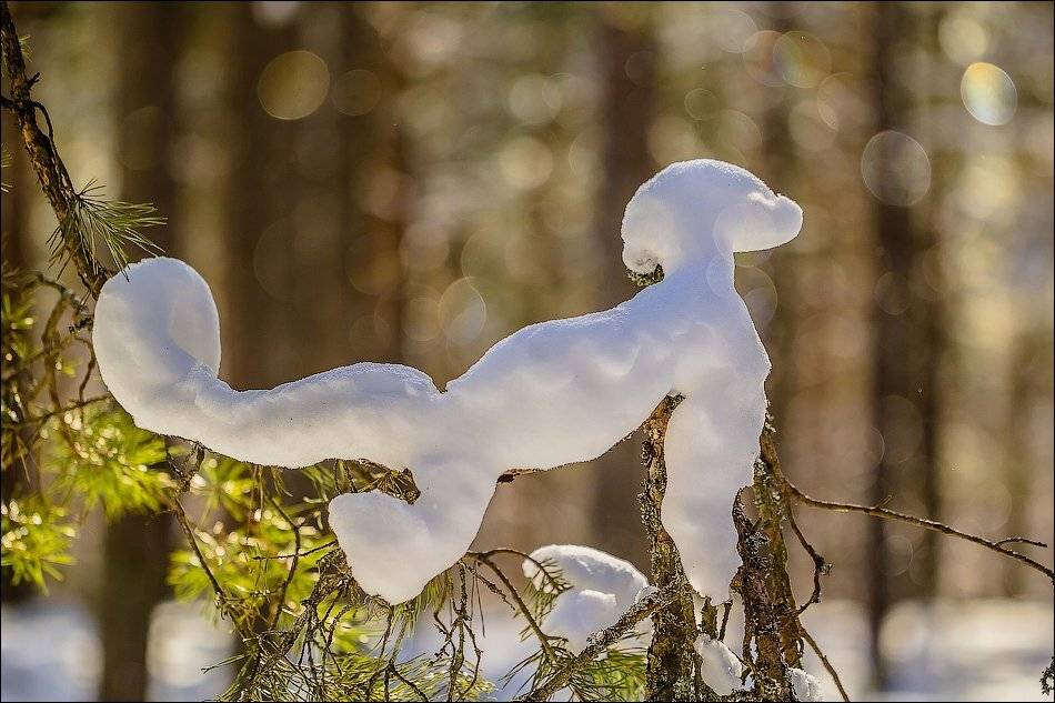 , Бурлов Андрей