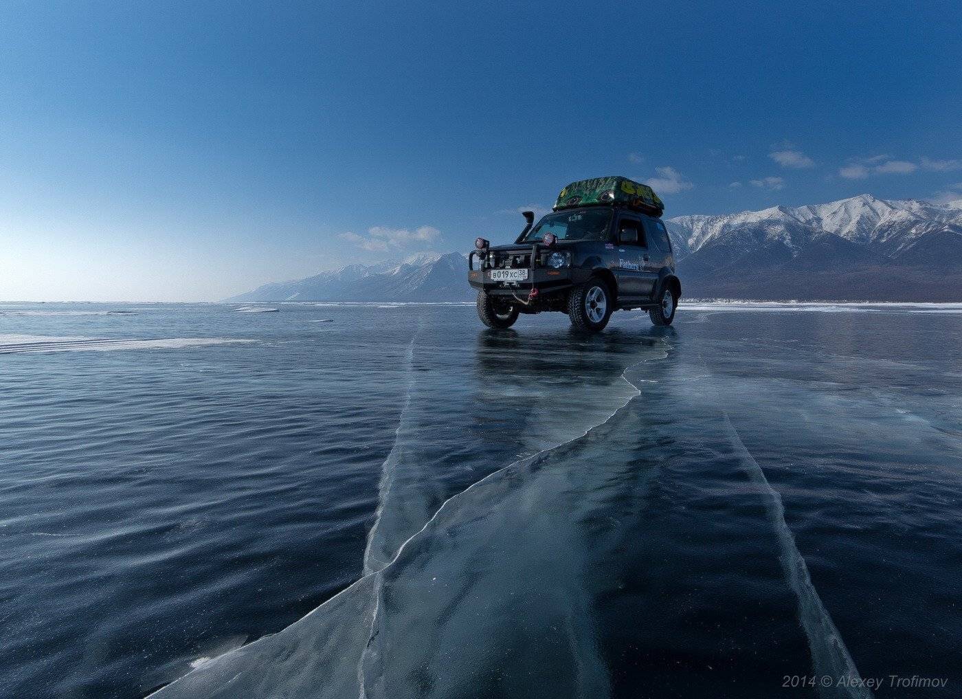 , Алексей Трофимов