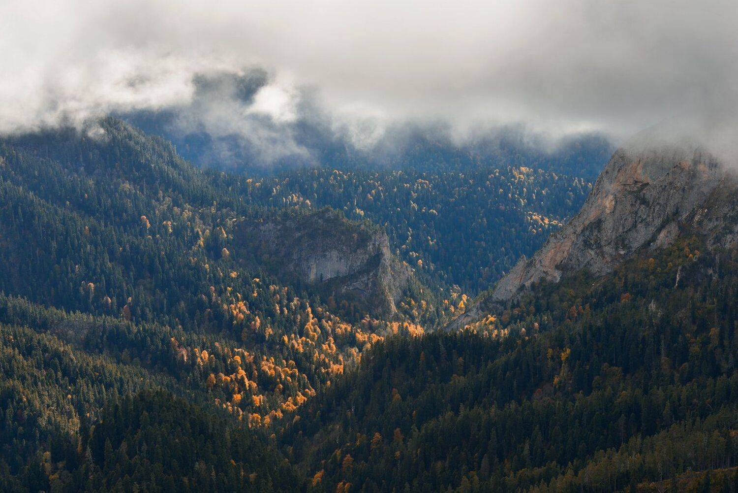 , Максим Евдокимов