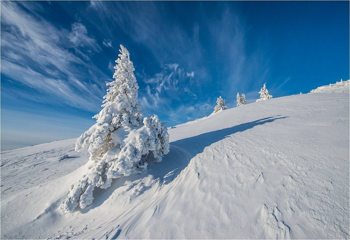 южный урал, хребет уреньга. зима. ель., Кутыгин Эдуард