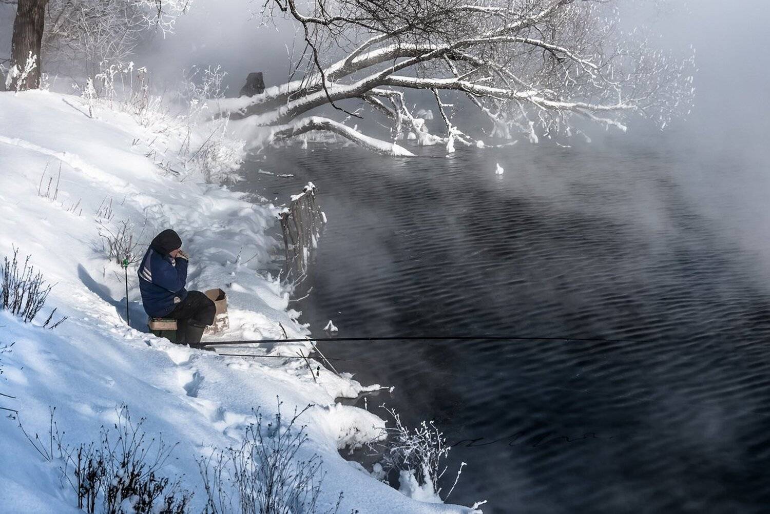 , Анатолий Зверев