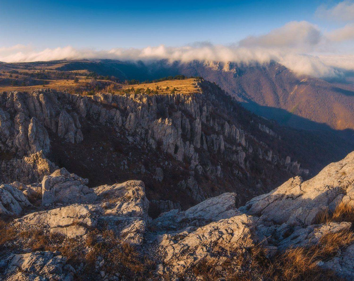 , Виталий Башкатов